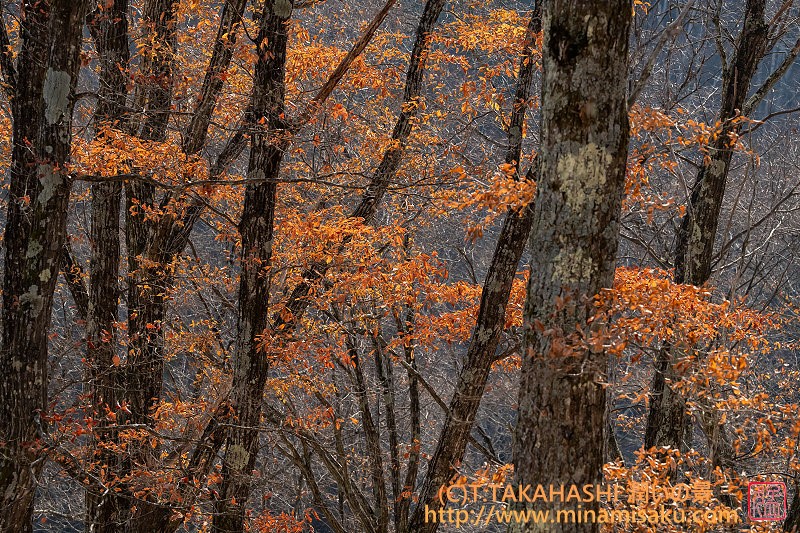 ../Images/7R251123 (103).jpg